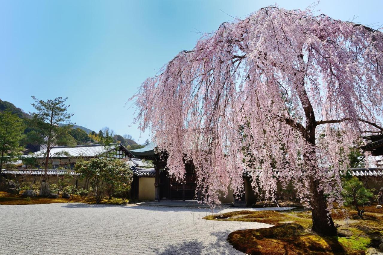 Sotetsu Fresa Inn Kyoto-Shijokarasuma Esterno foto